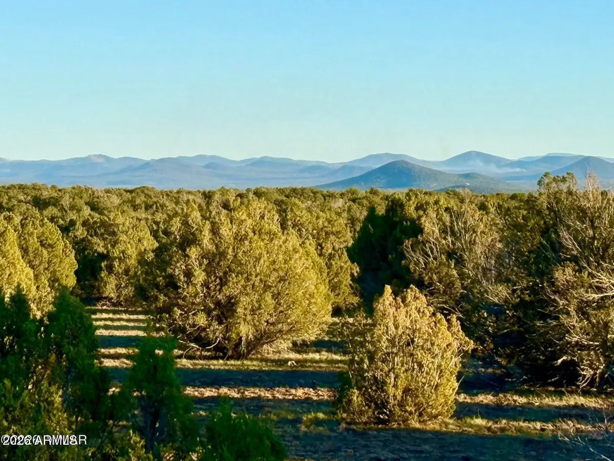 9023 Appaloosa Lots A & D --, Show Low, AZ 85901 - #1
