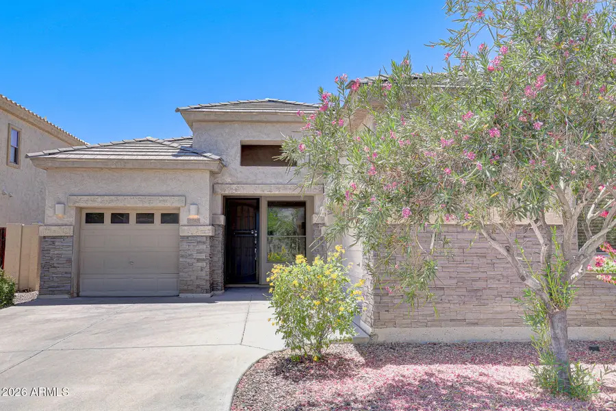 13343 W Jacobson Drive, Litchfield Park, AZ 85340 - #2