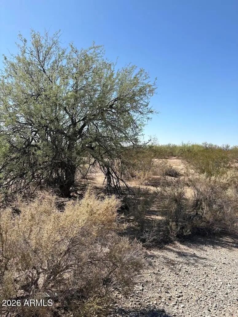 3310 N Butterfield Drive #37, Eloy, AZ 85131 - #2
