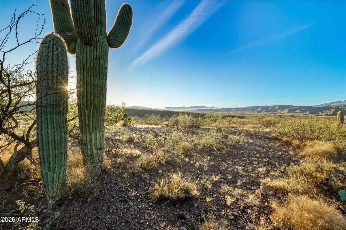 TBD E Gamez 15 Road #15, Benson, AZ 85602 - #1