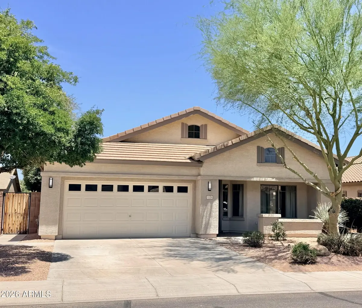 1126 E Carob Drive, Chandler, AZ 85286 - #1