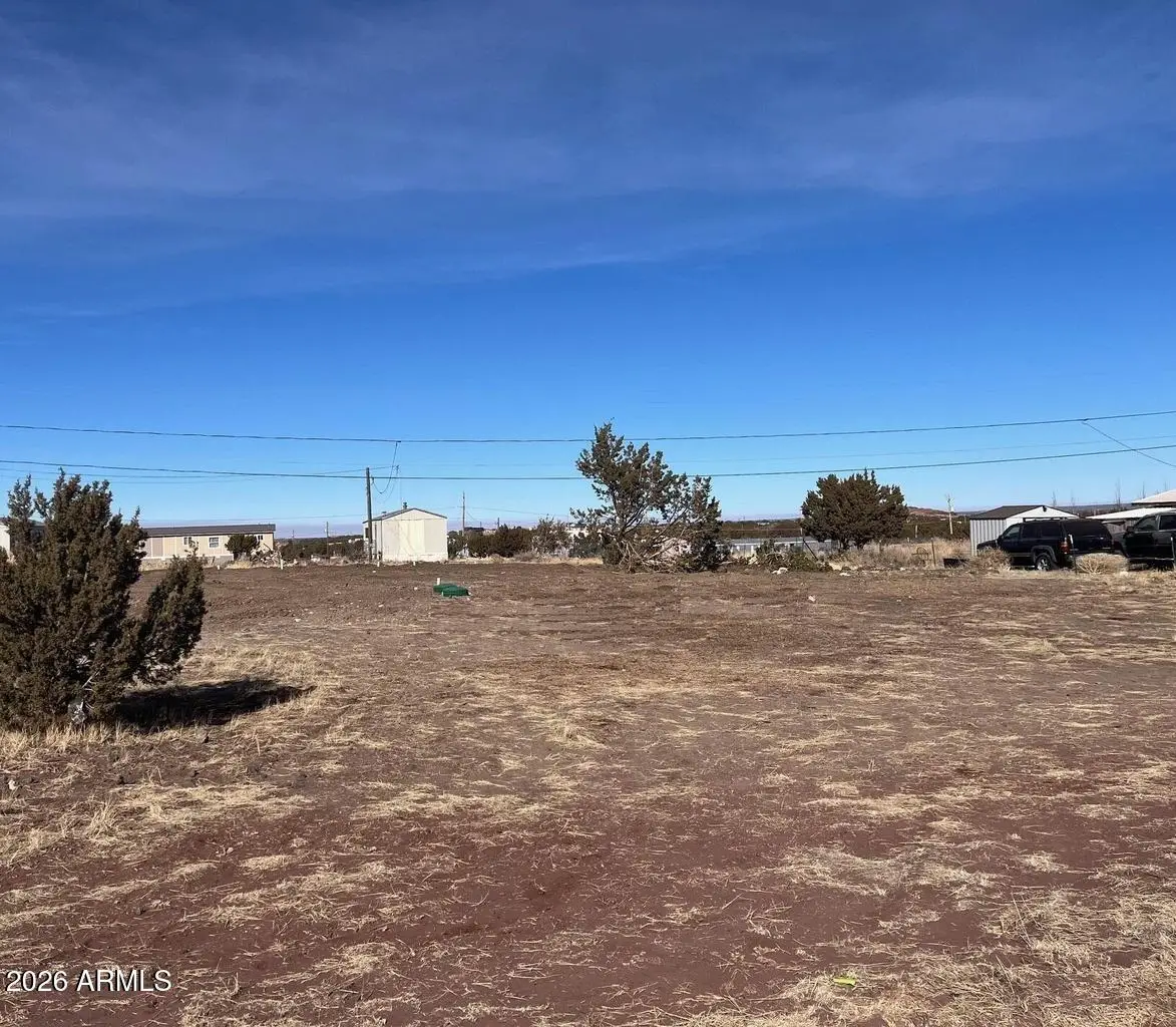 8514 Jackrabbit Drive #149, Show Low, AZ 85901 - #1
