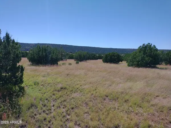 71 Acr 8001 -- #632, Concho, AZ 85924