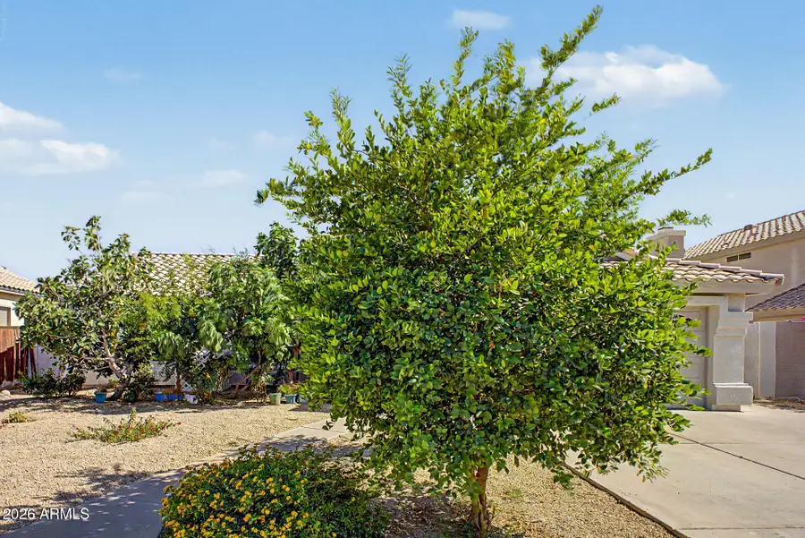 1553 W Chicago Street, Chandler, AZ 85224 - #2