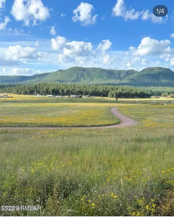 27 County Road 2330 -- #32, Alpine, AZ 85920