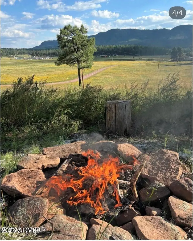 27 County Road 2330 -- #32, Alpine, AZ 85920 - #2