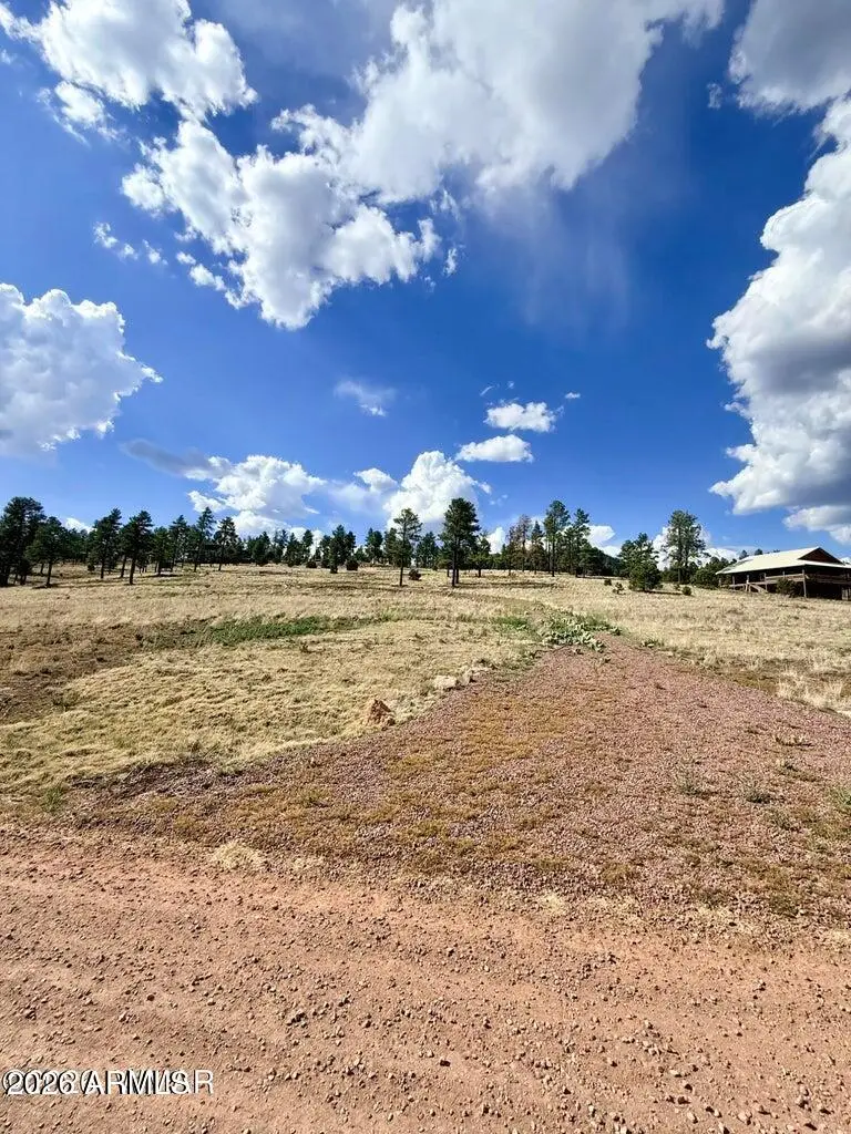 27 County Road 2330 -- #32, Alpine, AZ 85920 - #3
