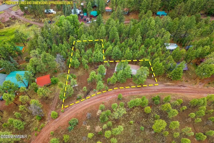 29 N County Road N2058 --, Alpine, AZ 85920 - #3