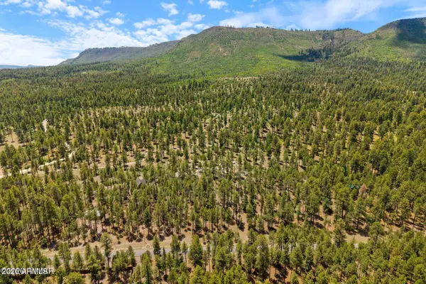 98 County Road 2266 --, Alpine, AZ 85920