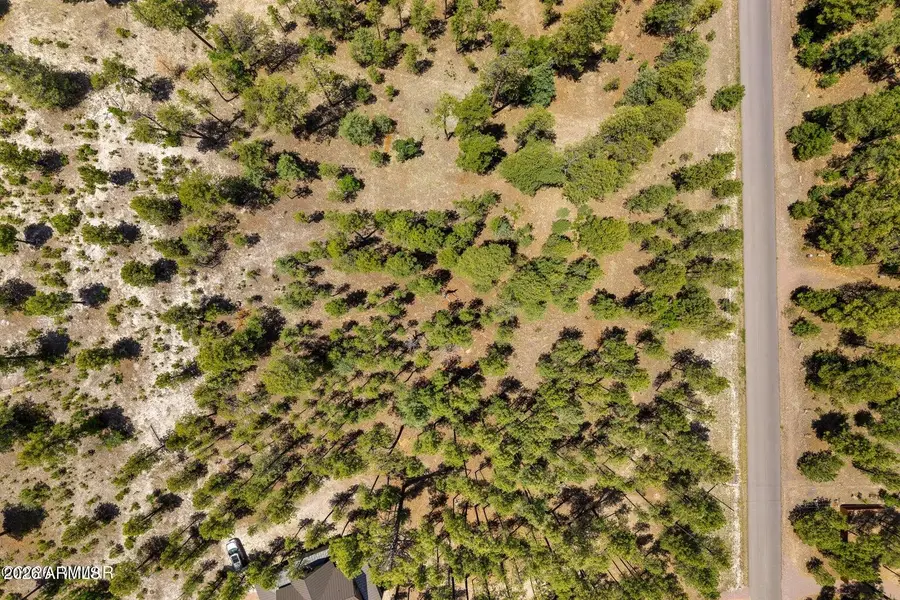 98 County Road 2266 --, Alpine, AZ 85920 - #2