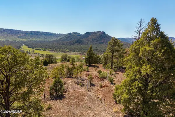 N2280 Noble Mountain Est -- #47, Nutrioso, AZ 85932