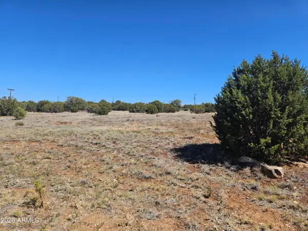 2429 Bourdon Ranch Road #F, Show Low, AZ 85901