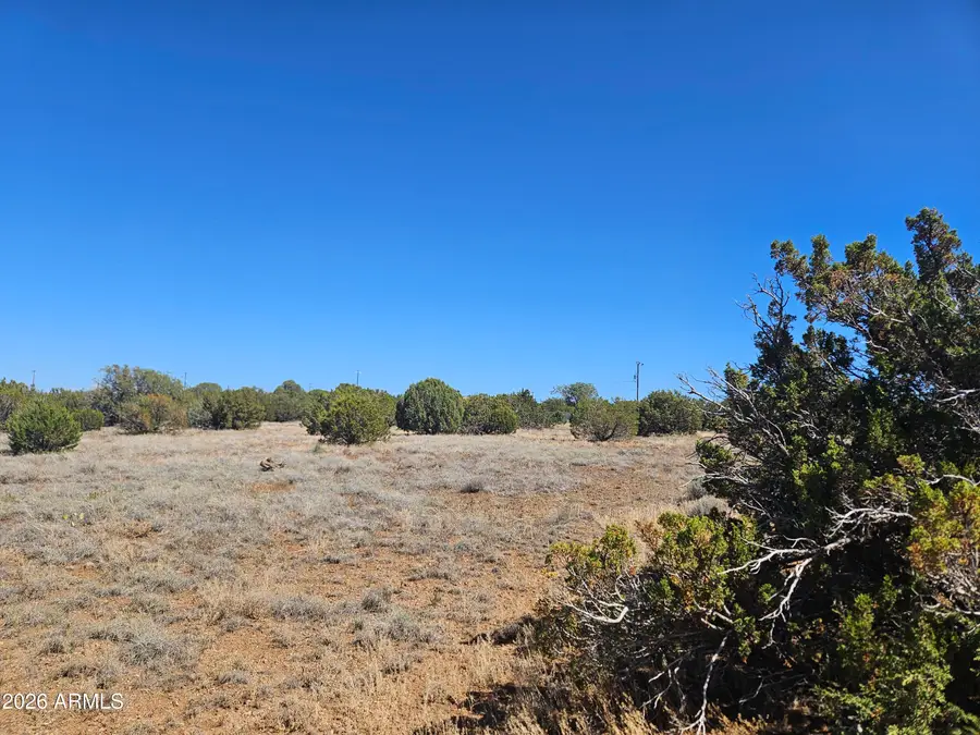 2429 Bourdon Ranch Road #F, Show Low, AZ 85901 - #3