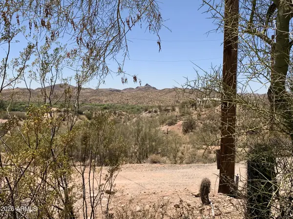 516XX N Mockingbird Road, Wickenburg, AZ 85390