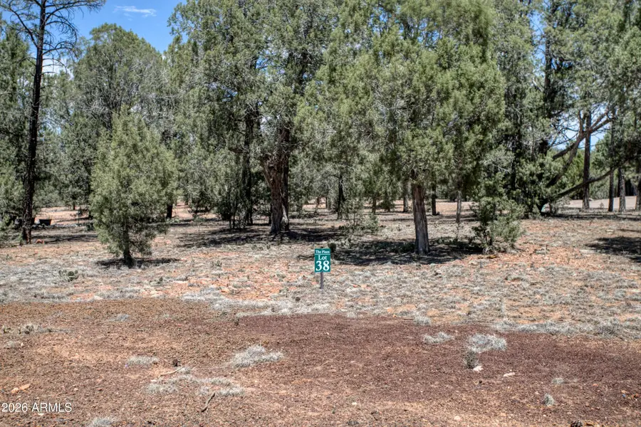 2661 N Eagle View Circle #38, Show Low, AZ 85901 - #2