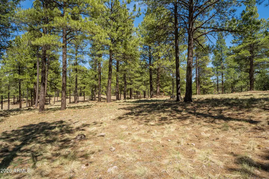 3663 S Woodland Hills Drive #365, Flagstaff, AZ 86005 - #3