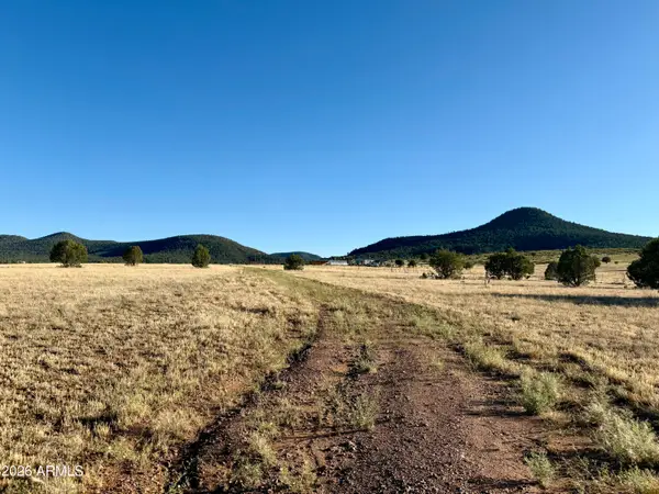 228B S Dutchmans Trail, Young, AZ 85554