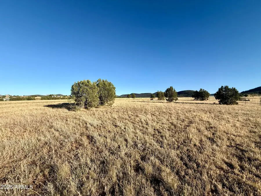 228B S Dutchmans Trail, Young, AZ 85554 - #3