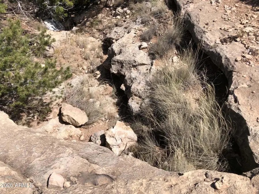 785 Twin Tanks Road #'-', Heber, AZ 85928 - #2