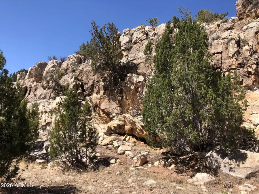 785 Twin Tanks Road #'-', Heber, AZ 85928 - #3