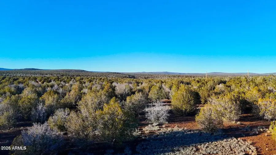 2408 W Skyline Drive #58, Williams, AZ 86046 - #2