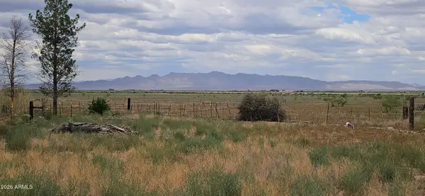 52 Acres W Davis Road, McNeal, AZ 85617