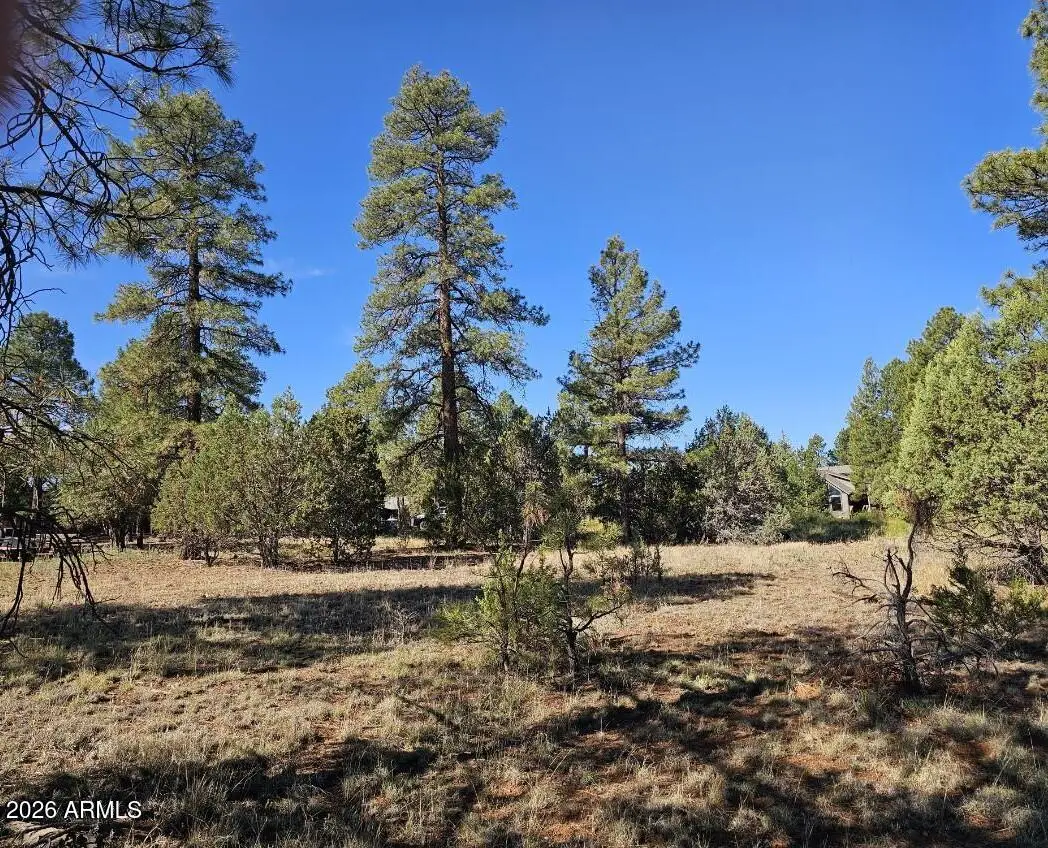 2236 Moccasin Drive #208, Overgaard, AZ 85933 - #1