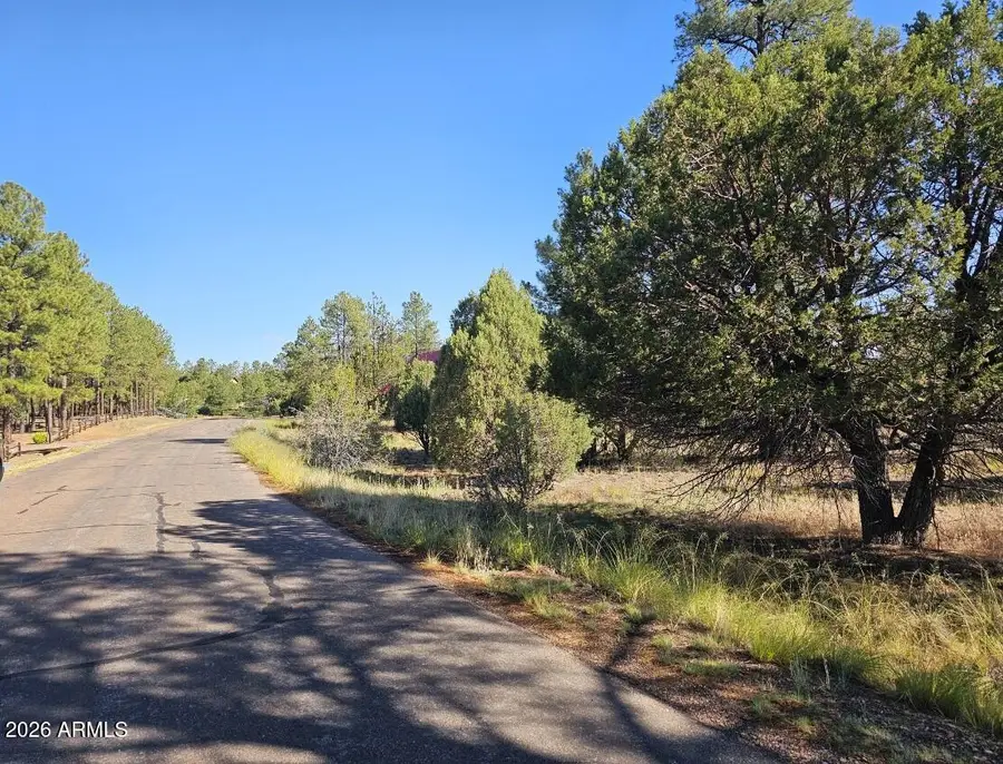 2236 Moccasin Drive #208, Overgaard, AZ 85933 - #3