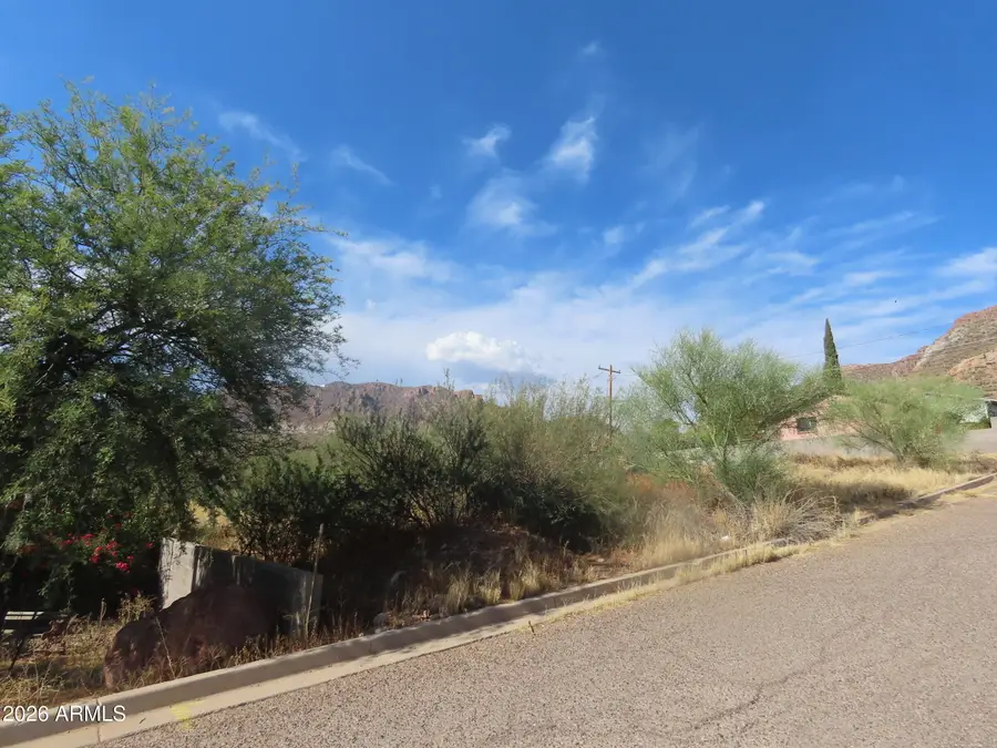 0 W Wight/lobb Street #42, Superior, AZ 85173 - #3