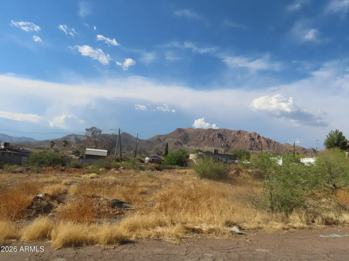 0 W Mitchell Street #pt of 8,9 block 10, Superior, AZ 85173 - #1