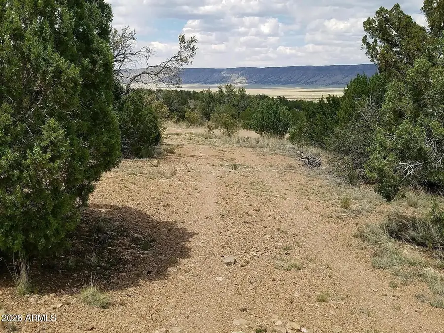 56766 N Bridge Canyon Parkway #4367, Seligman, AZ 86337 - #3