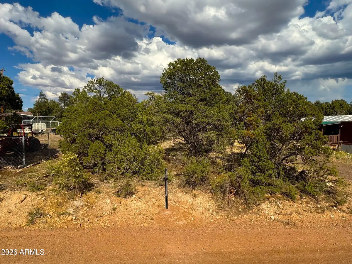 3491 Evergreen Drive #322, Overgaard, AZ 85933 - #1