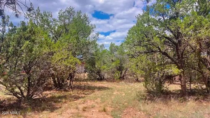 3491 Evergreen Drive #322, Overgaard, AZ 85933 - #2