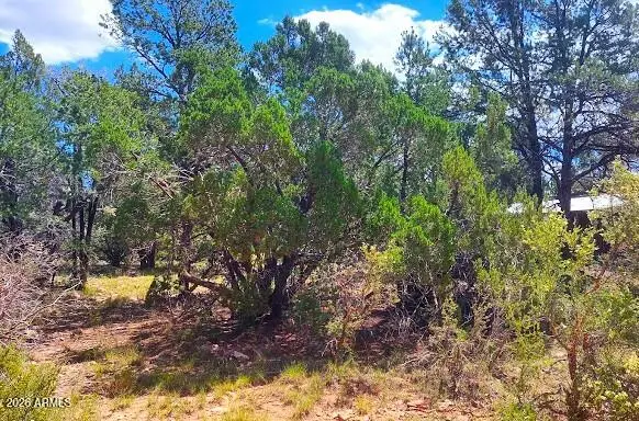 3491 Evergreen Drive #322, Overgaard, AZ 85933 - #3
