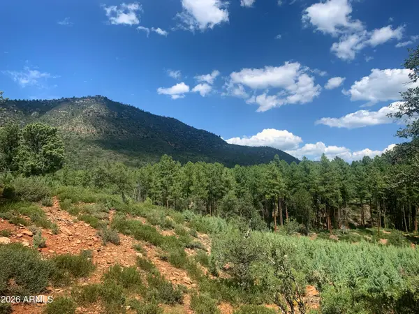 Lot 49 W Ruin Hill Loop Loop #49, Pine, AZ 85544