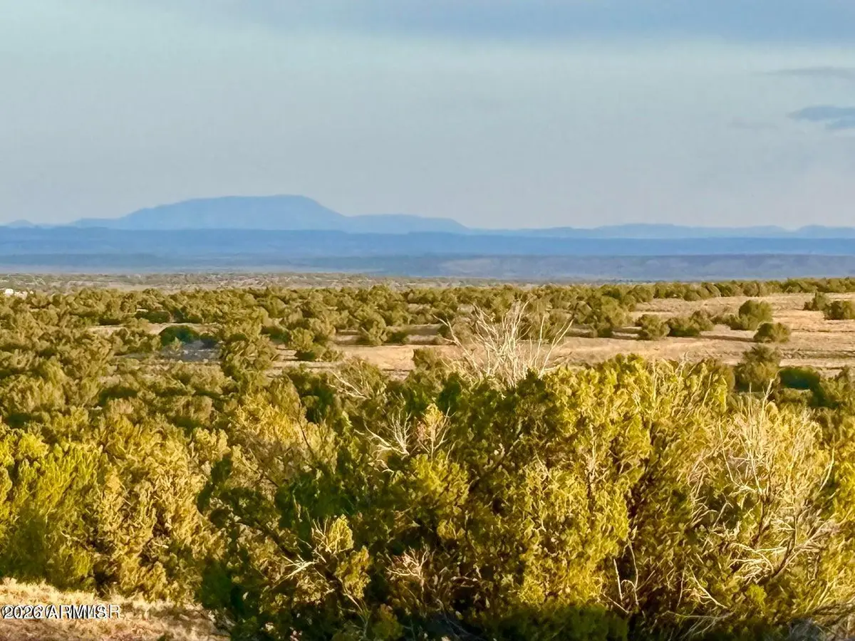 TBD Co Rd N7120 40 Acres --, Saint Johns, AZ 85936 - #1