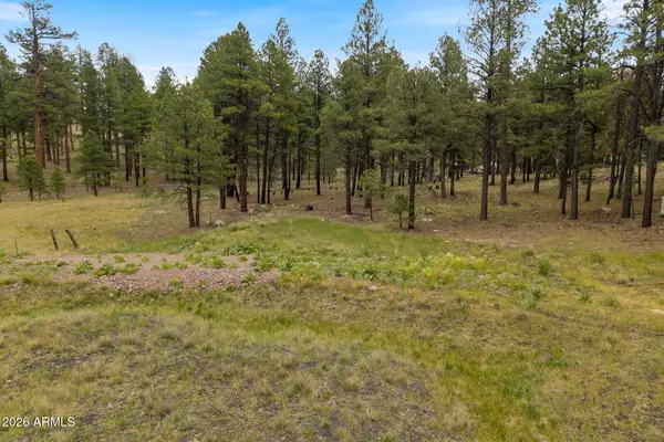 TBD County Rd 2121 --, Alpine, AZ 85920