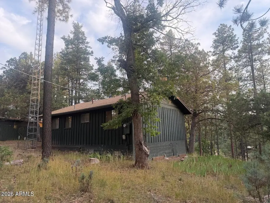 282 S Cienega Road, Payson, AZ 85541 - #3