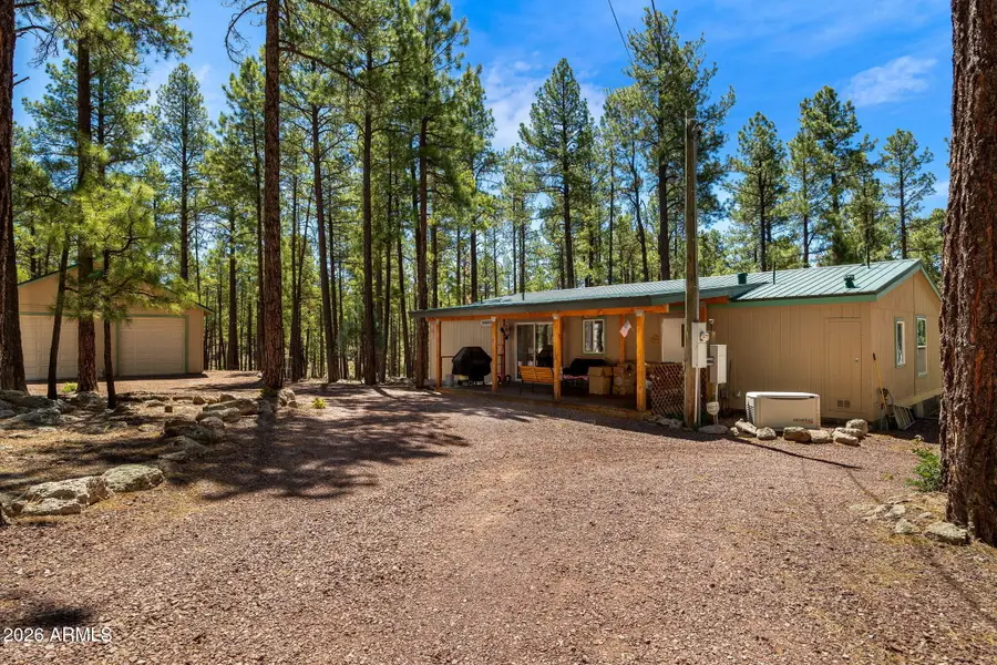 7 N County Road N2132 --, Alpine, AZ 85920 - #2