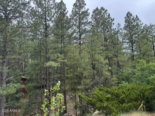 17270 Grizzly Ridge Road, Munds Park, AZ 86017 - #3