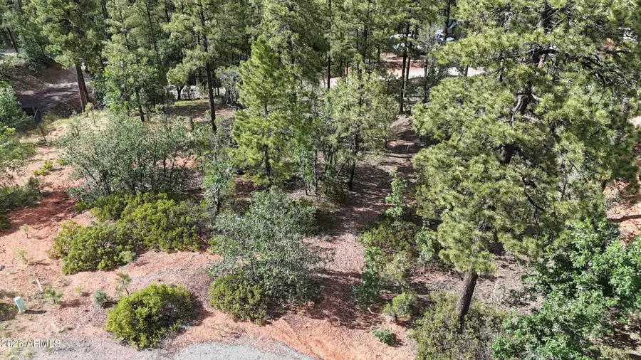 7026 Leo Lane #25, Lakeside, AZ 85929 - #3