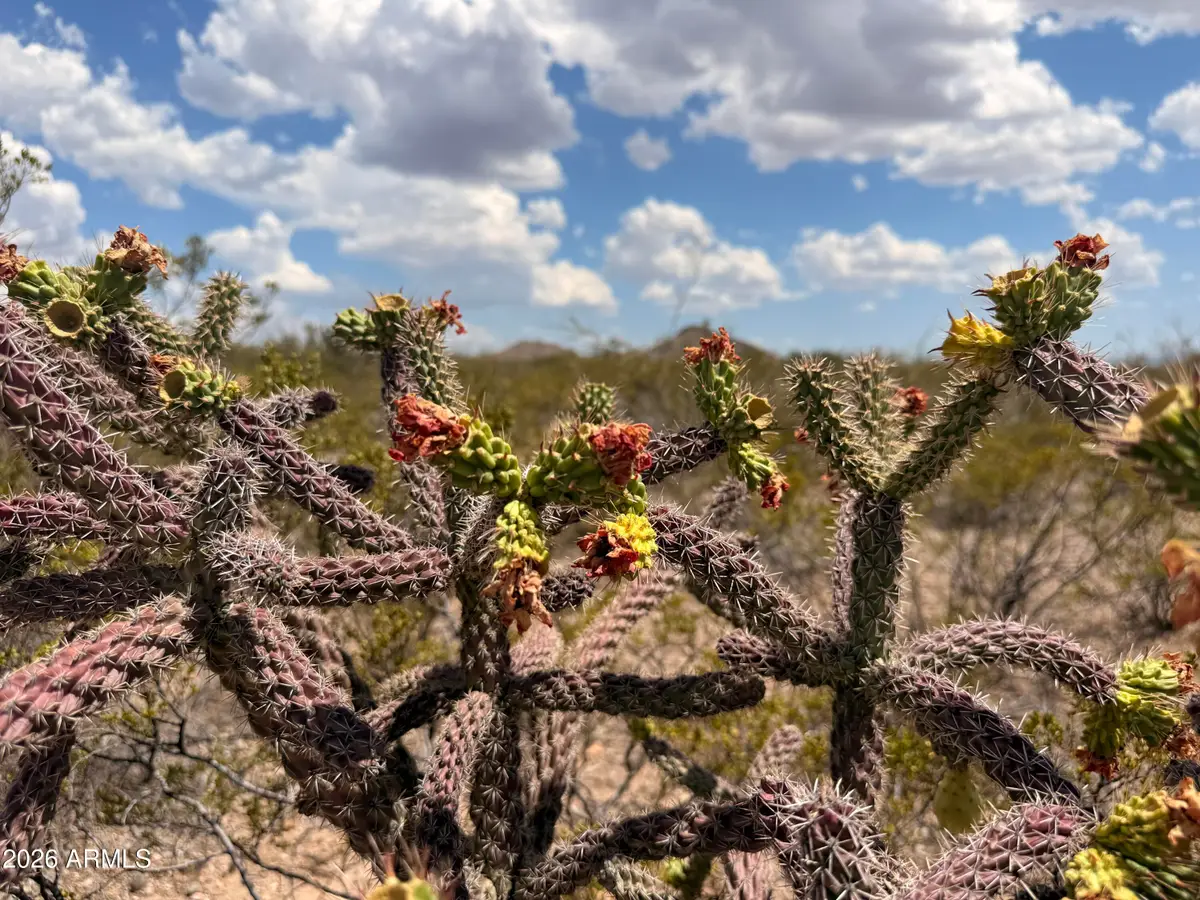 Lot 121 Valley Springs -- #121, Douglas, AZ 85607 - #1