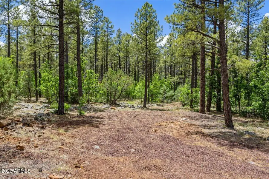 1431 S Hill Drive, Pinetop, AZ 85935 - #2
