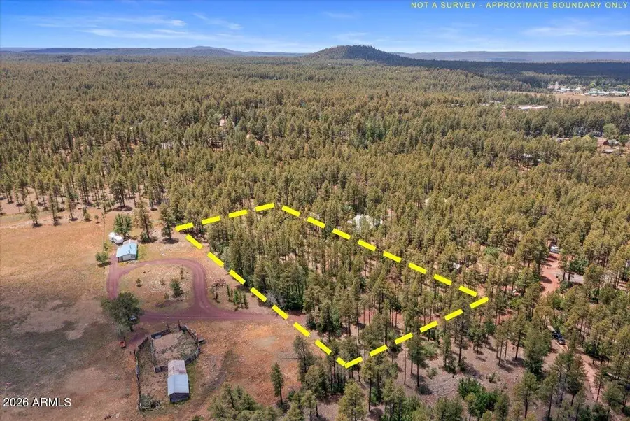 1431 S Hill Drive, Pinetop, AZ 85935 - #3