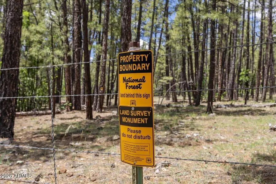TBD E Sawmill Drive, Pinetop, AZ 85935 - #3