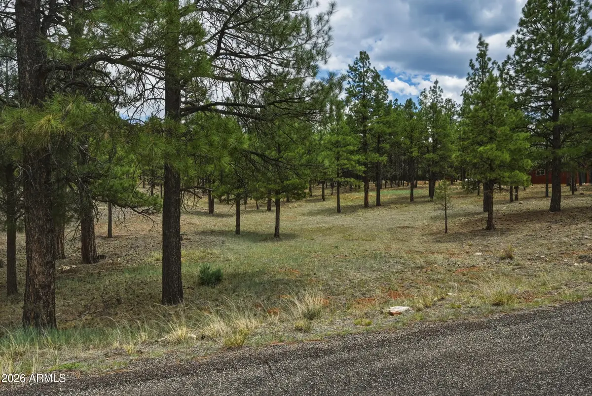 2799 Cherokee Way #381, Happy Jack, AZ 86024 - #1