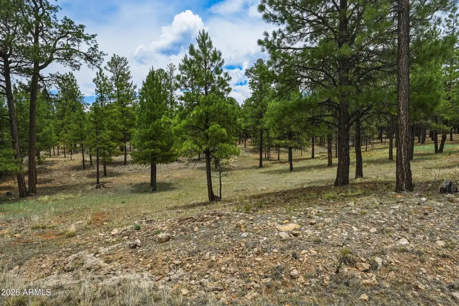 2799 Cherokee Way #381, Happy Jack, AZ 86024 - #2