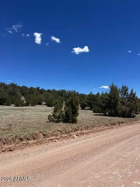Lot 15 Juniper Mtn Ranches Unit 1 -- #15, Seligman, AZ 86337 - #2
