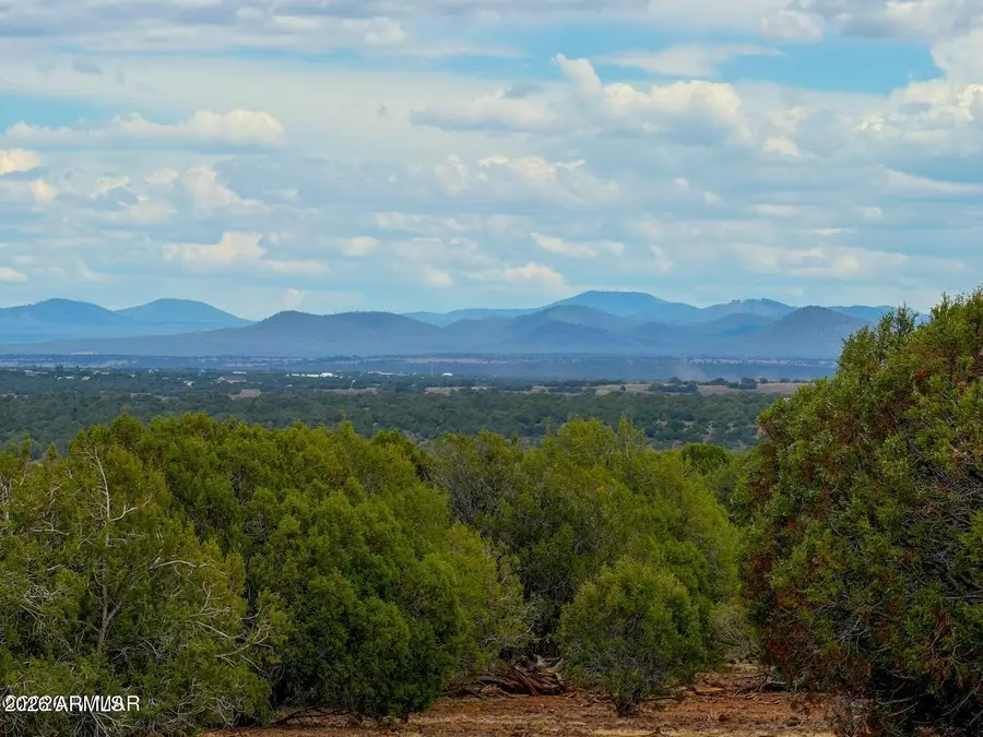 8087 Mustang Lane, Show Low, AZ 85901 - #2