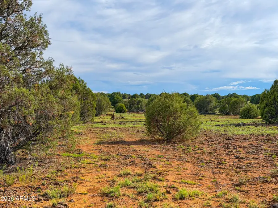 8087 Mustang Lane, Show Low, AZ 85901 - #3
